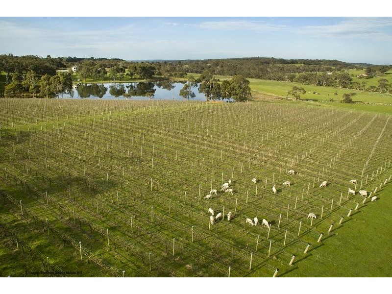 Lot 599,  Blackbilly Road, Willunga SA 5172