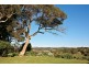 Cowper Rd, Hope Forest SA 5172