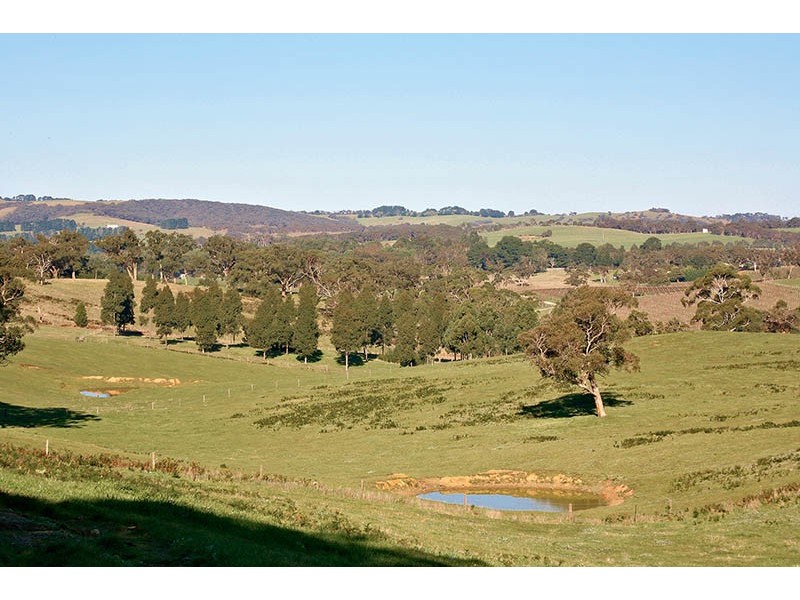 Cowper Rd, Hope Forest SA 5172