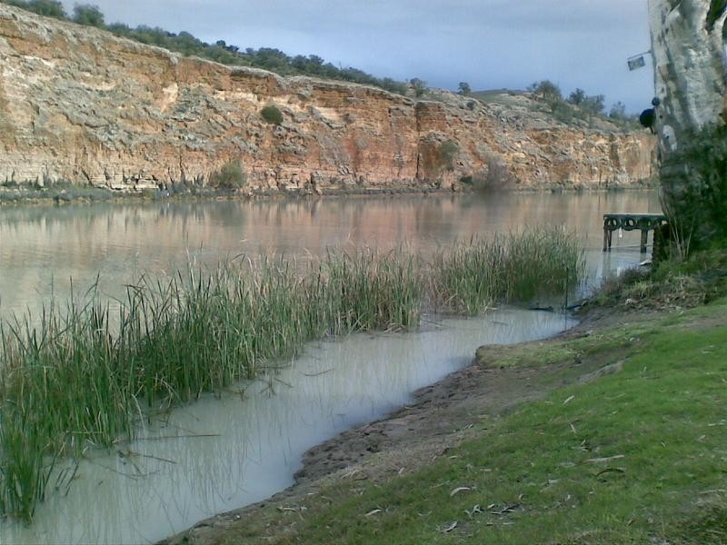 87 Rob Loxton Road, Walker Flat SA 5238