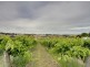 Lot 20, Victor Harbor Road, Mount Compass SA 5210