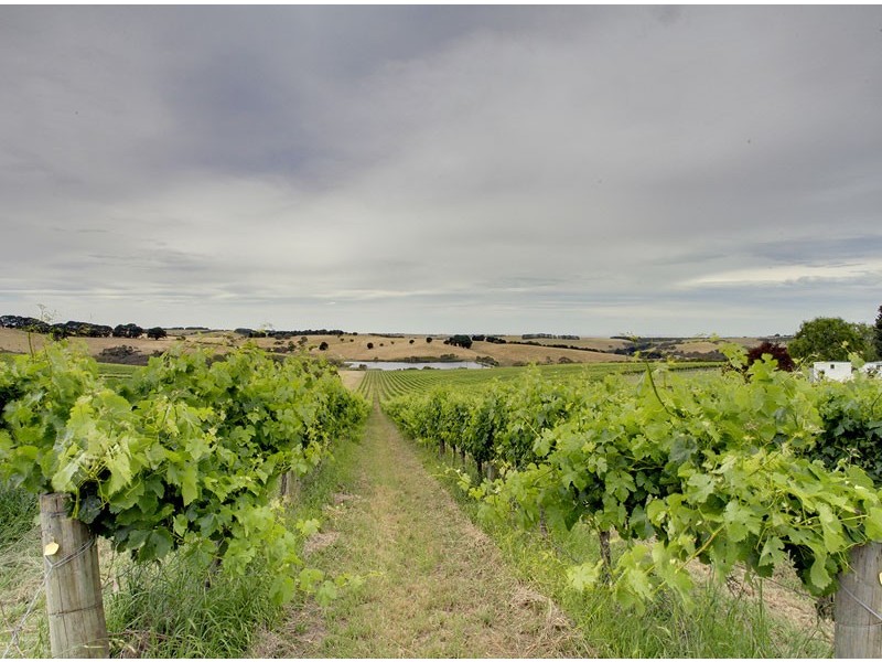 Lot 20, Victor Harbor Road, Mount Compass SA 5210