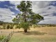 The Range Via, Mclaren Vale SA 5171