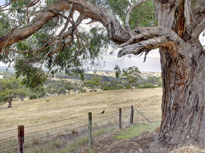 The Range Via, Mclaren Vale SA 5171