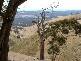 2 (Lot) TOOPS HILL ROAD, Kangarilla SA 5157