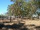 2 (Lot) TOOPS HILL ROAD, Kangarilla SA 5157