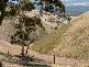 2 (Lot) TOOPS HILL ROAD, Kangarilla SA 5157