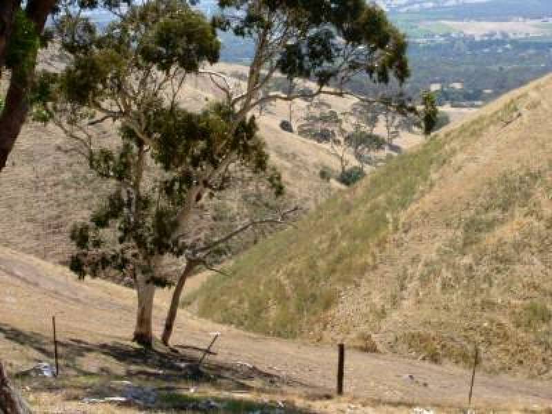 2 (Lot) TOOPS HILL ROAD, Kangarilla SA 5157