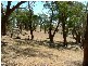2 (Lot) TOOPS HILL ROAD, Kangarilla SA 5157