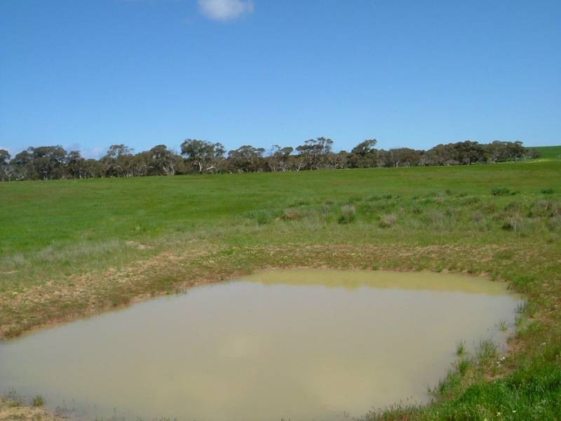 Lot 6,  Depledge Road, Waitpinga SA 5211