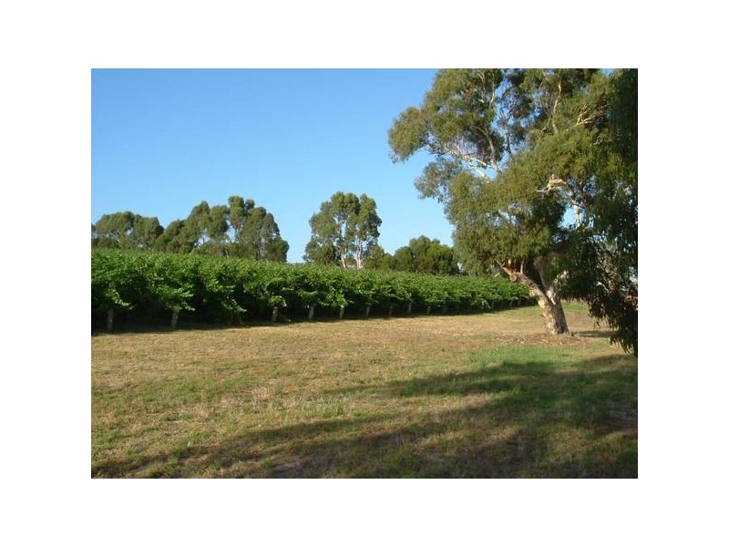 403 Cleland Gully Road, Mount Compass SA 5210