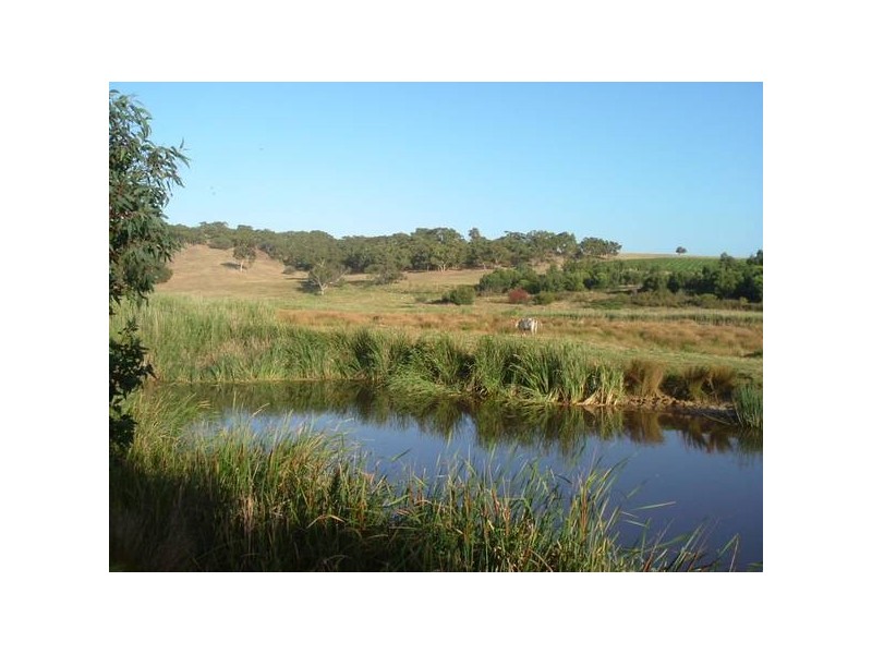 403 Cleland Gully Road, Mount Compass SA 5210