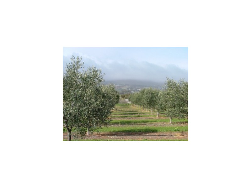 3 Main South Road, Sellicks Beach SA 5174