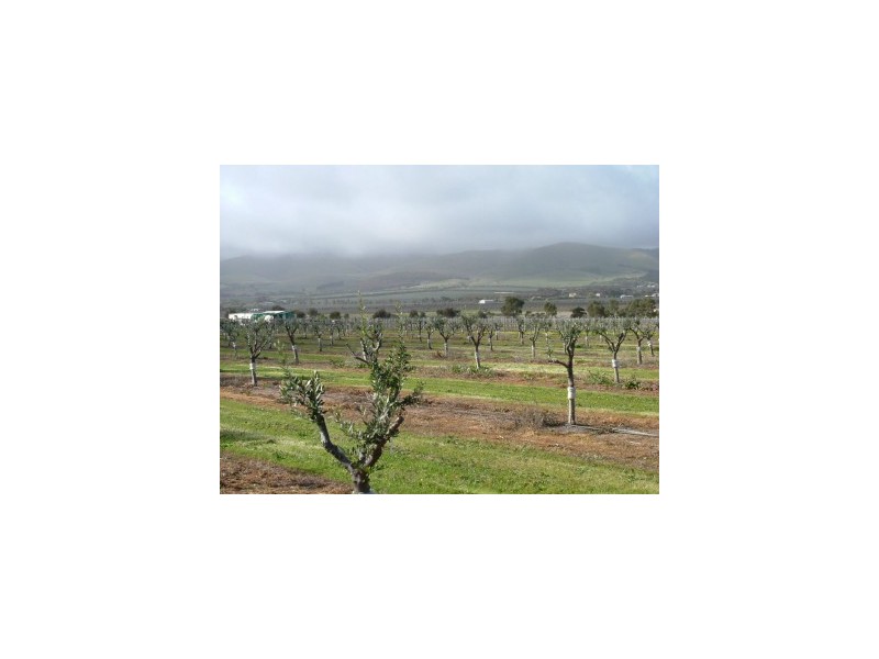 3 Main South Road, Sellicks Beach SA 5174