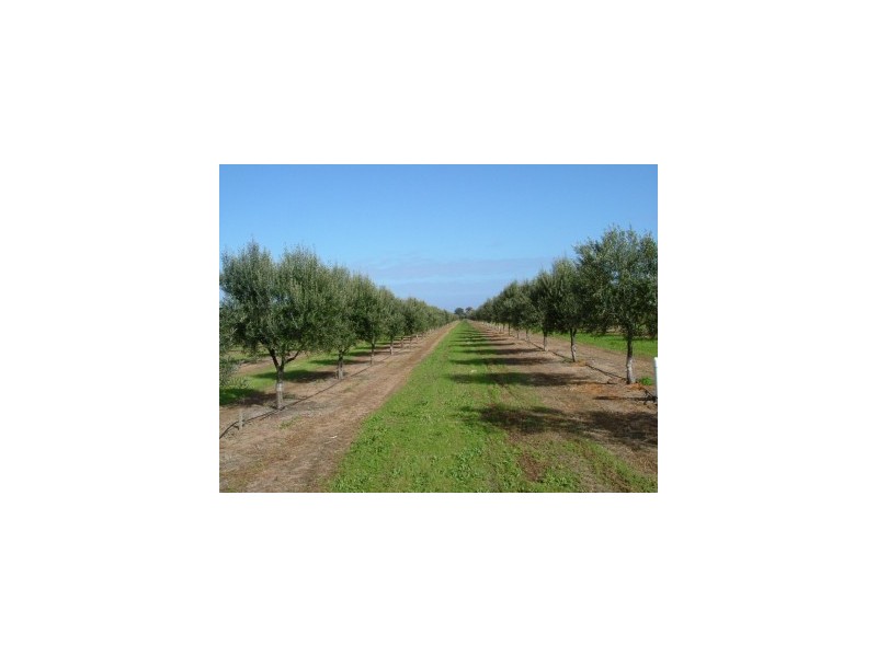 3 Main South Road, Sellicks Beach SA 5174