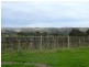 Lot 20,  Pethick Road, Willunga SA 5172