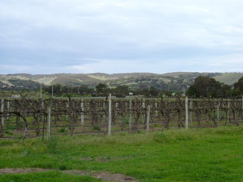 Lot 20,  Pethick Road, Willunga SA 5172