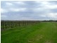 Lot 20,  Pethick Road, Willunga SA 5172