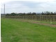 Lot 20,  Pethick Road, Willunga SA 5172