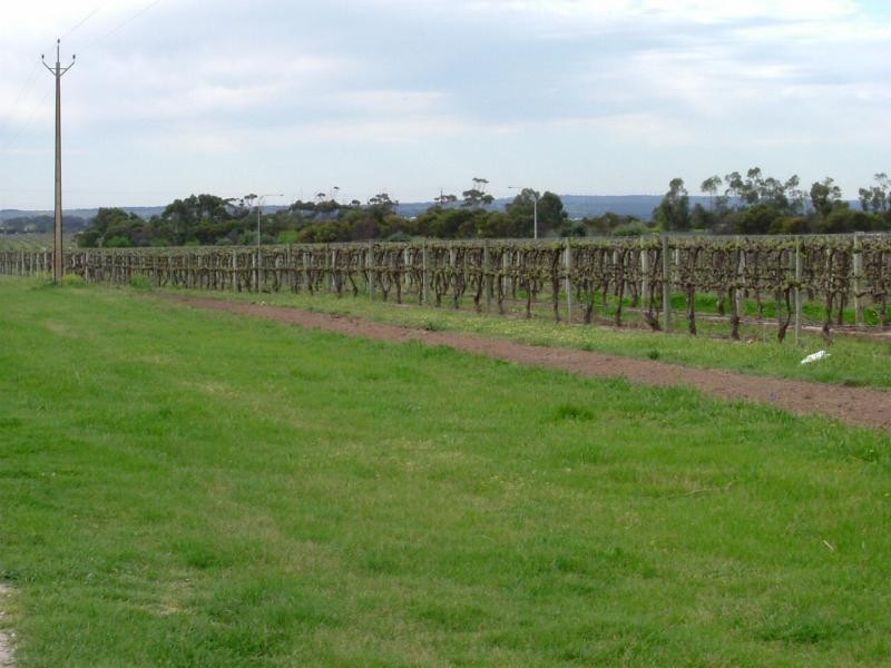Lot 20,  Pethick Road, Willunga SA 5172