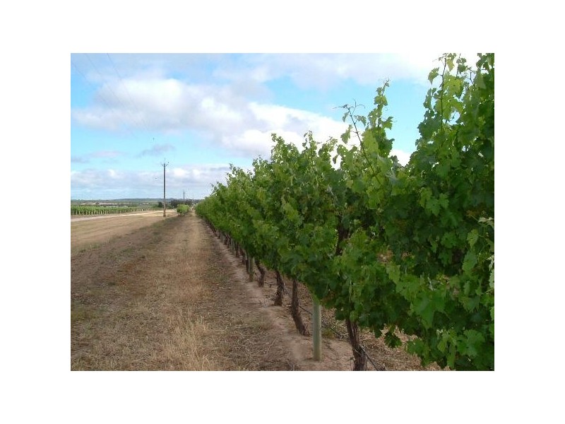 Lot 20,  Pethick Road, Willunga SA 5172