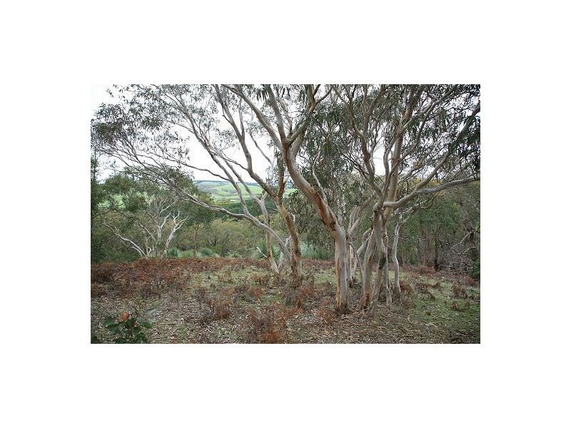 3 Hindmarsh Tiers Road, Myponga SA 5202