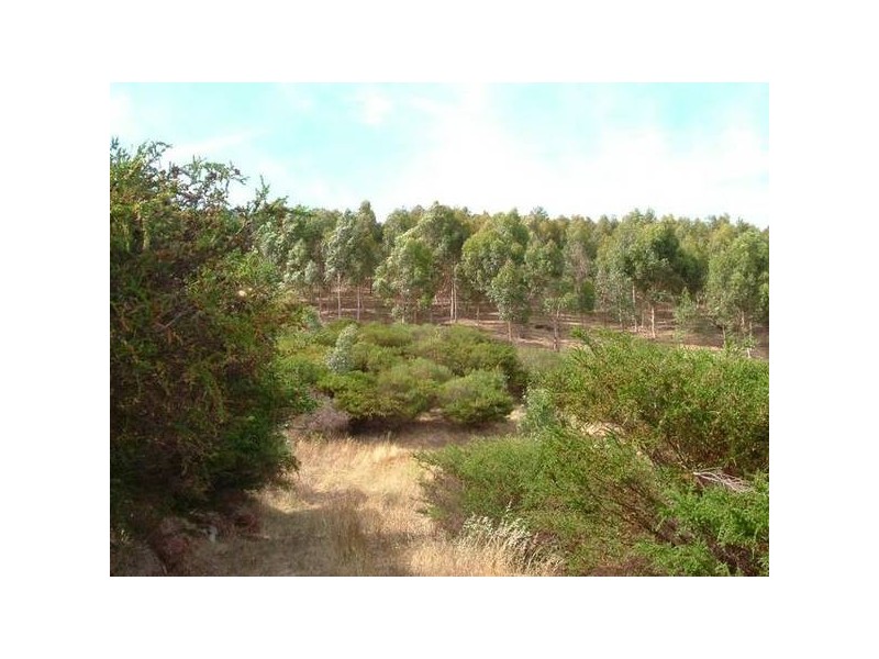 100 Quarry Road, Willunga SA 5172