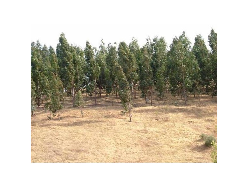 100 Quarry Road, Willunga SA 5172