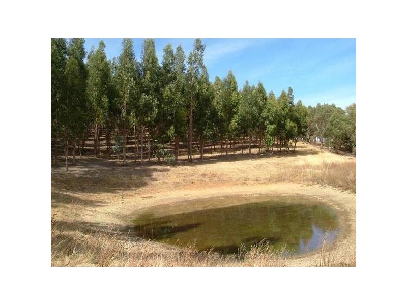 100 Quarry Road, Willunga SA 5172