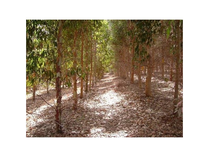 100 Quarry Road, Willunga SA 5172