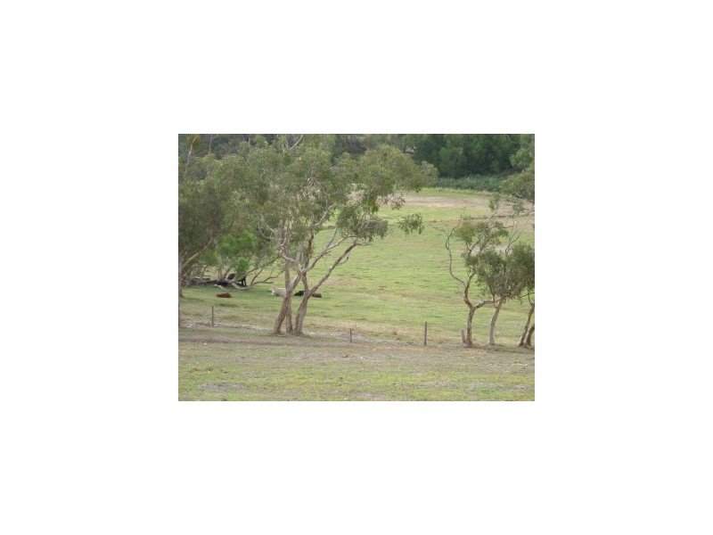 399 (Sec) Cleland Gully Road, Tooperang SA 5255