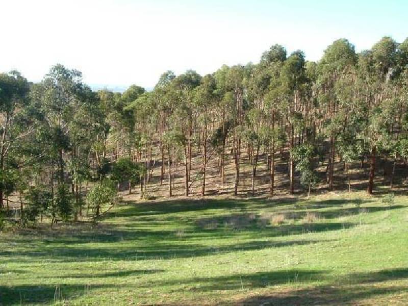 4 Private Road (off Braeside Rd), Finniss SA 5255