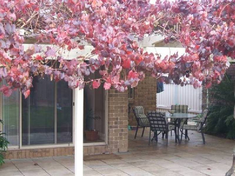 15 Seafarer Court, Seaford Rise SA 5169