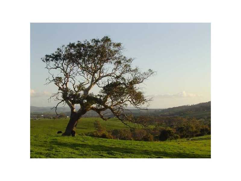 Sec 500 Main South Road, Yankalilla SA 5203