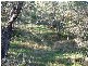 Bahloo Glen Road, Mount Compass SA 5210