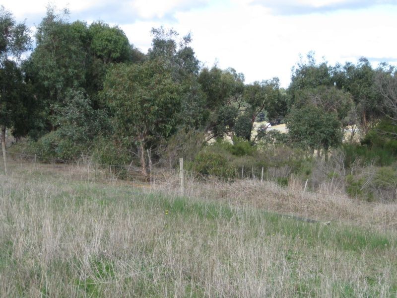 202 Bahloo Glen Road, Mount Compass SA 5210