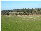 203 Bahloo Glen Road, Mount Compass SA 5210