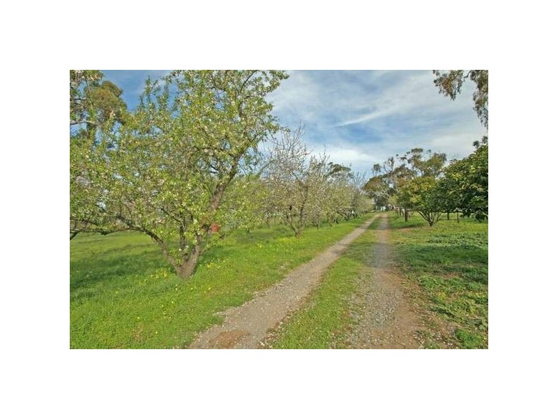 90 Chalk Hill Road, Mclaren Vale SA 5171