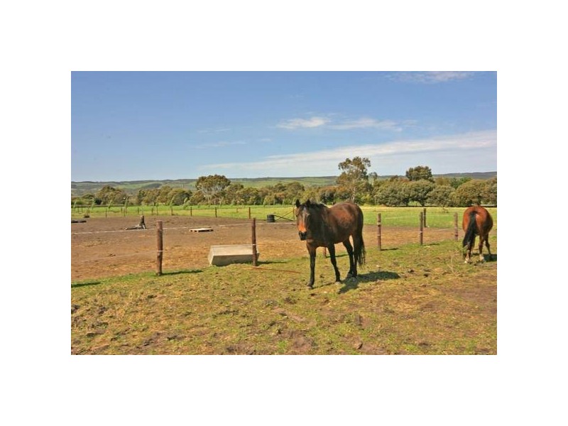 12 Malpas Road, Willunga SA 5172