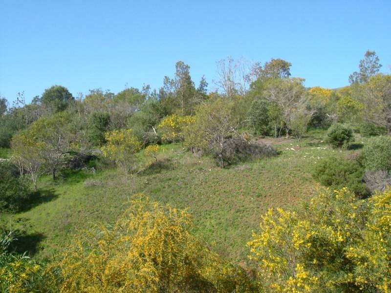 Sellicks Hill SA 5174