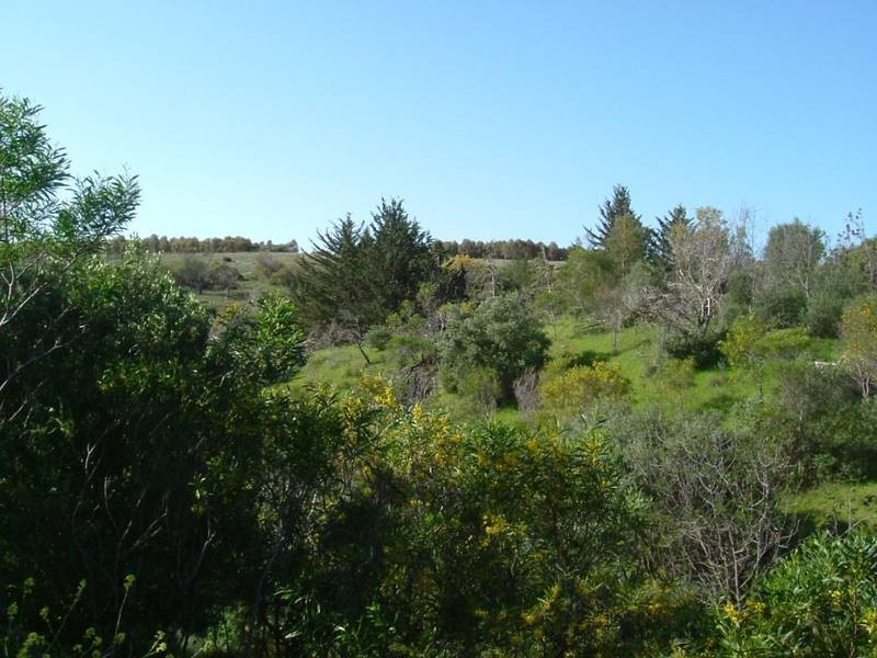 Sellicks Hill SA 5174