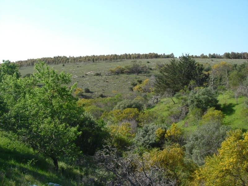 Sellicks Hill SA 5174