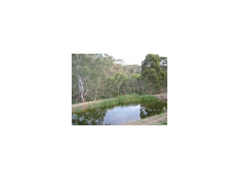 Lot 20 Stonesford Rd, Mount Compass SA 5210