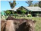 19 Inman Valley Road, Victor Harbor SA 5211