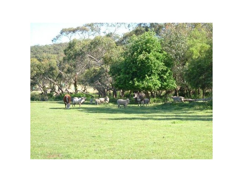 192 Yundi Road, Mount Compass SA 5210