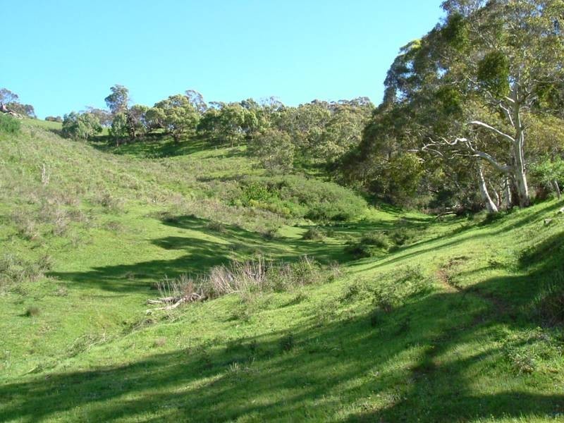 2 Nangkita Road, Mount Compass SA 5210