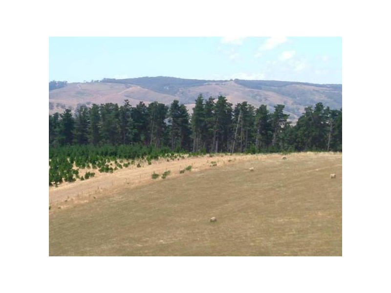 25 Hancock Road
(Inman Valley), Victor Harbor SA 5211