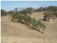 2 Toops Hill Road, Mclaren Flat SA 5171