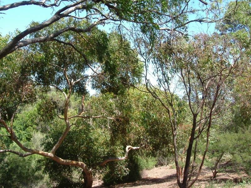 Lot 92,  Green Lane, Willunga SA 5172