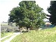 50 Trig Point Road, Myponga SA 5202